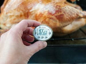 Measuring the temperature with a digital thermometer on a roast turkey