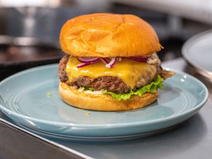 Burger with Cheese, Red Onions, and Lettuce on a Plate on a Kitchen Counter for How to Make a Burger on the Stove