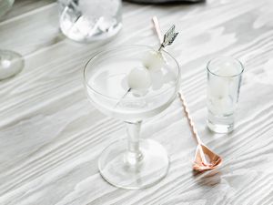 Gibson Cocktail with Pickled Onion Garnish