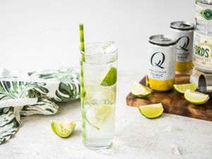 Glass of Gin and Tonic with Limes and a Straw, Surrounded by a Bottle of Gin, Cans of Tonic, and Lime Wedges