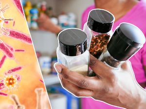 spice jars contaminated with food borne illnesses