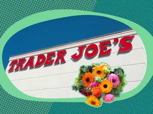 Trader Joe's Store Logo on the Building Surrounded by Fun Green Illustrations and a Bouquet of Flowers