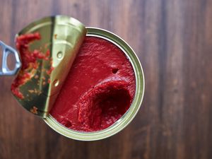 tomato paste in can 